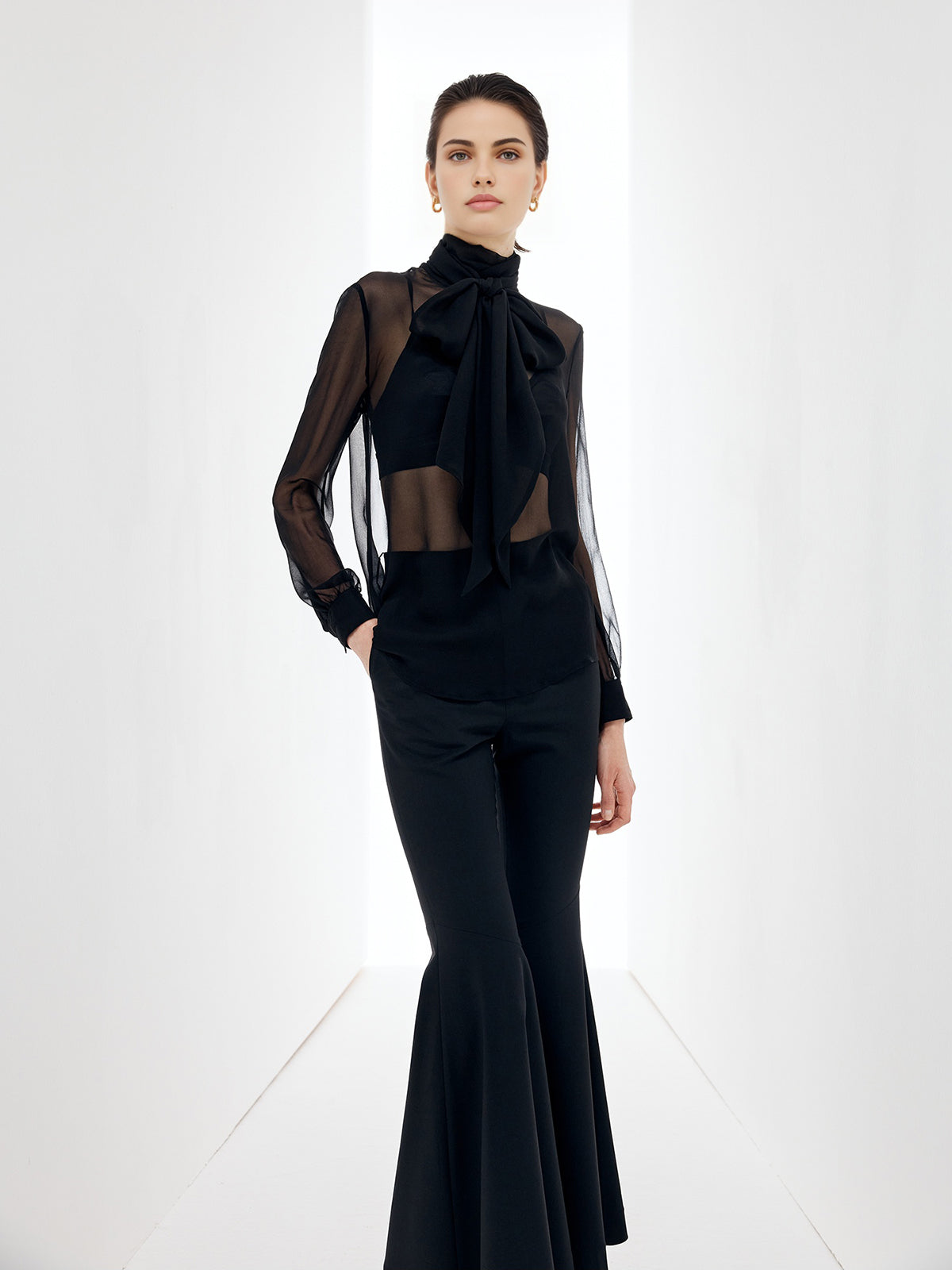 Şeffaf Fiyonk Detaylı Şifon Bluz