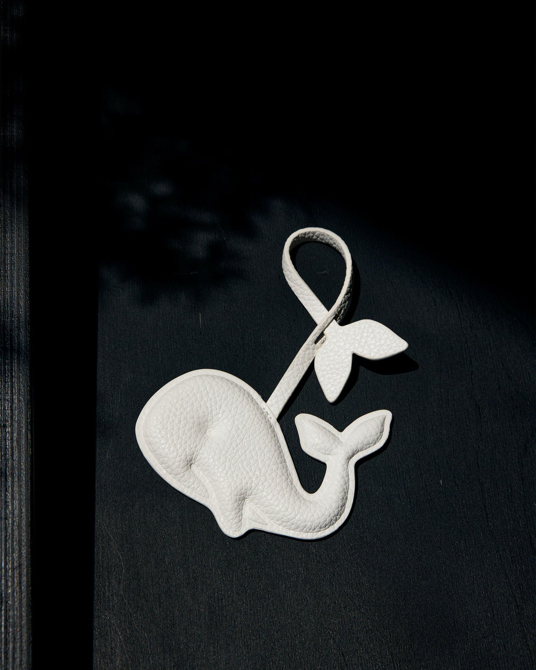 Moana Charm