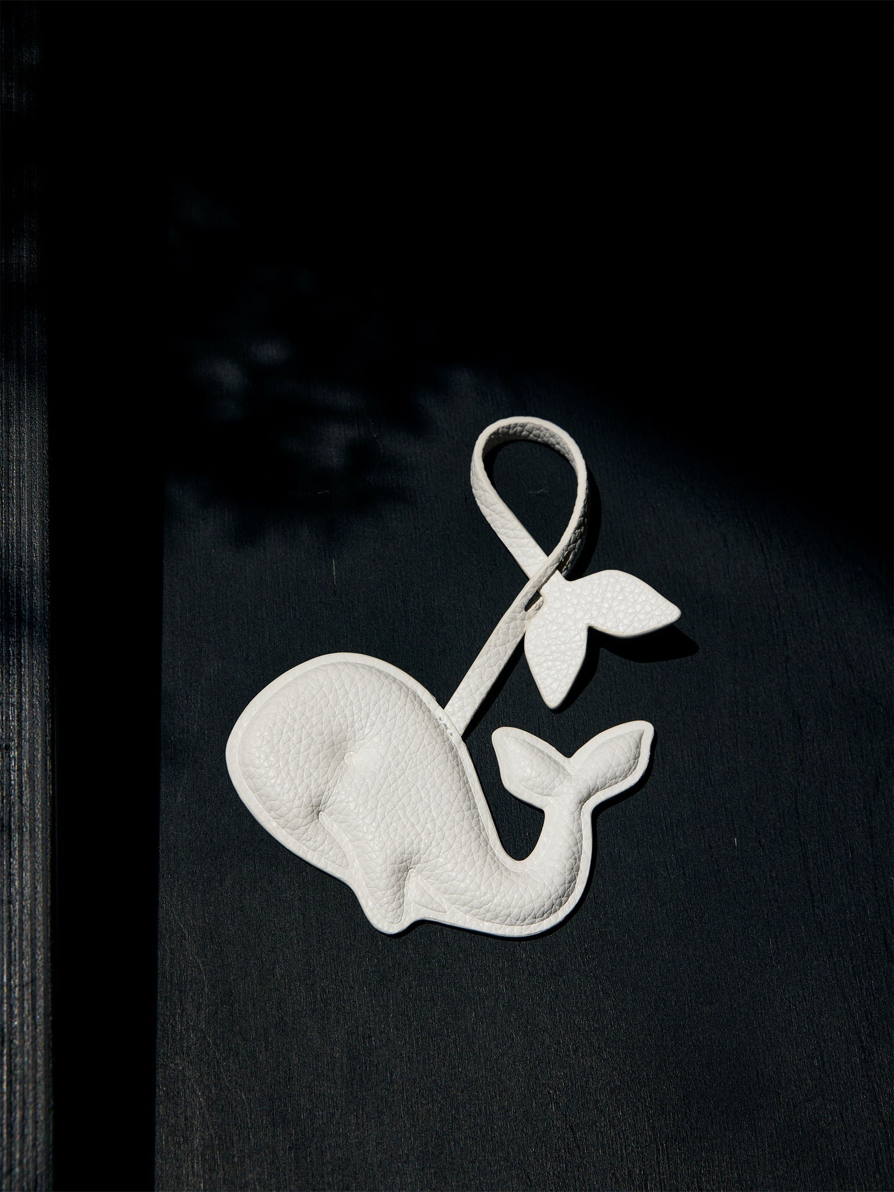 Moana Charm